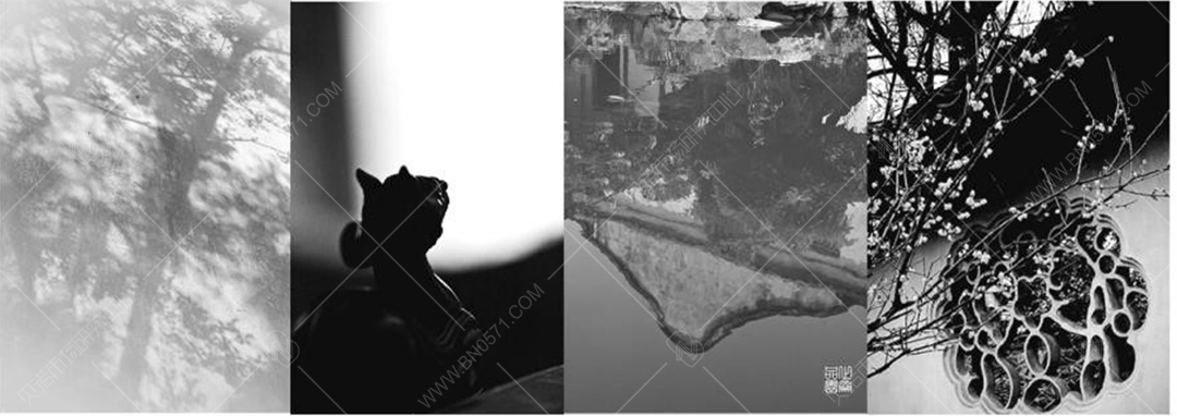 貝諾農貿市場設計(4)