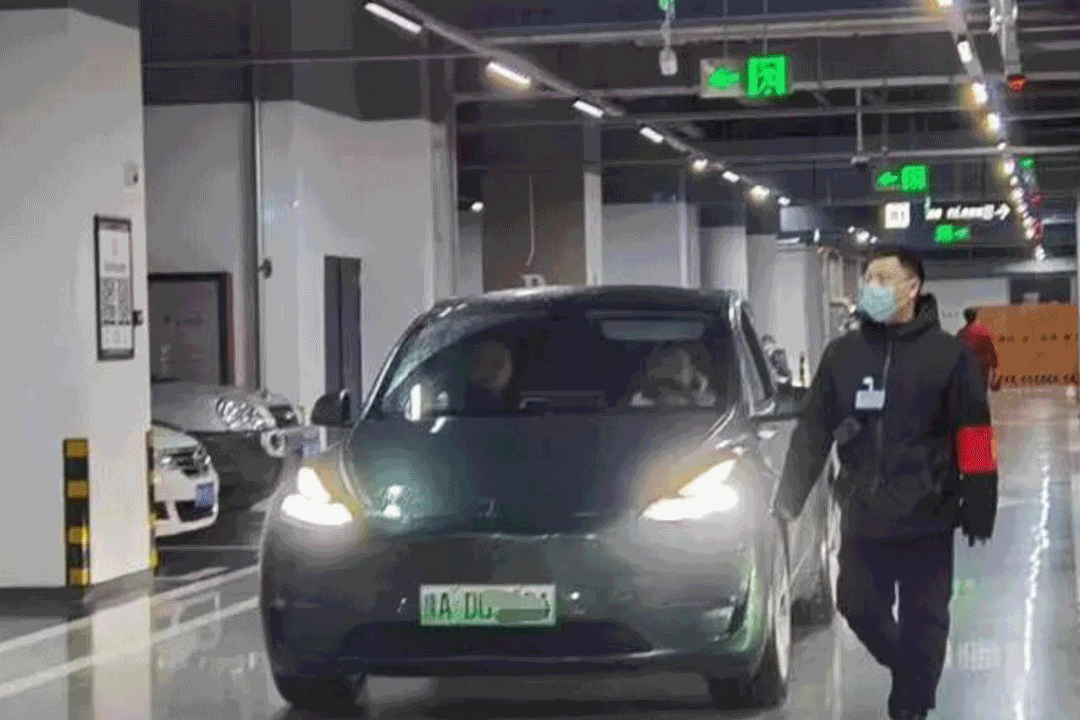 農貿市場設計與運營管理2