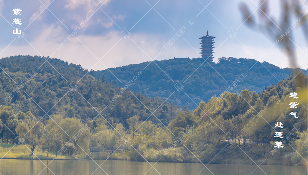 農貿市場設計案例2.2