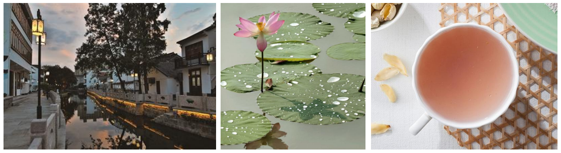 農(nóng)貿(mào)市場設(shè)計效果案例(1)