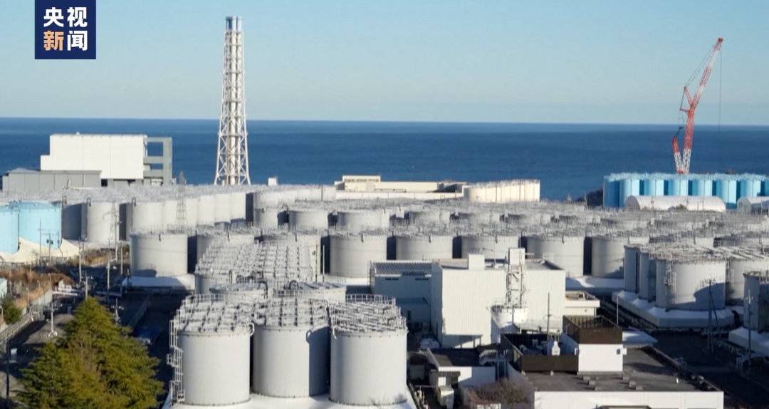 日本農貿批發市場設計(2)